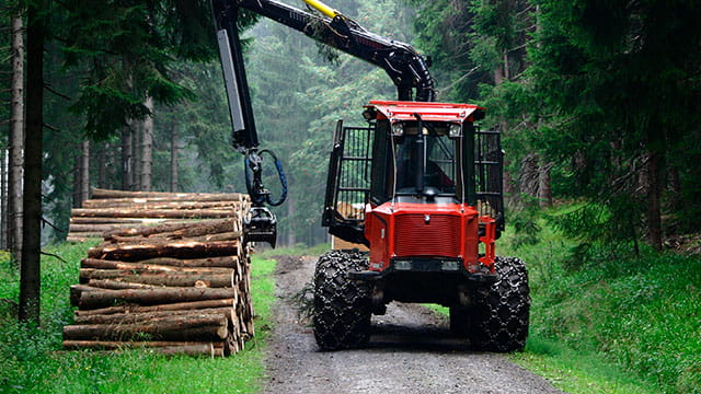 Skogsindustri