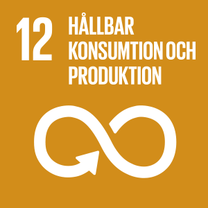 UN Global Goals 12 hållbar konsumtion och produktion