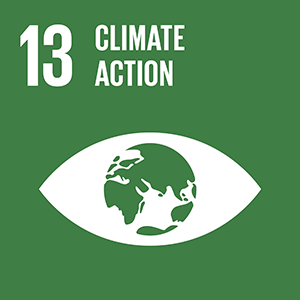 UN Global Goals 13 Climate action